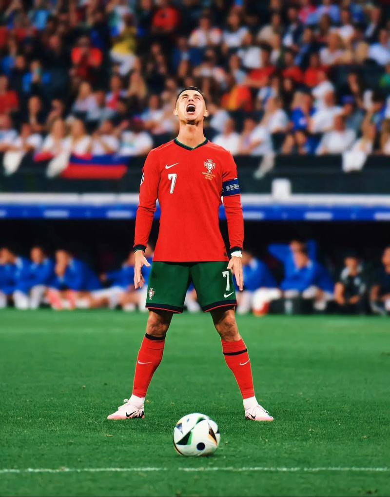 迷的关注 迷的关注